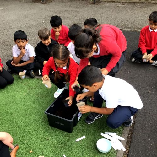 Week 8 - 24.07.25 - Planting Seeds
