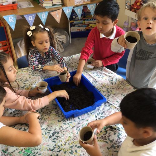 Week 8 - 24.07.25 - Planting Seeds​​​​​​​