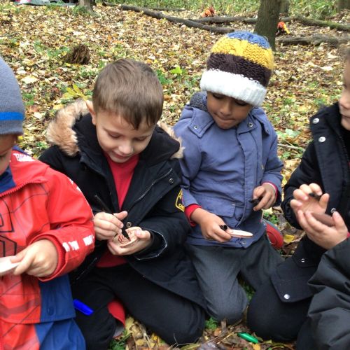 Week 1 - 04.11.25 - Elm Woods