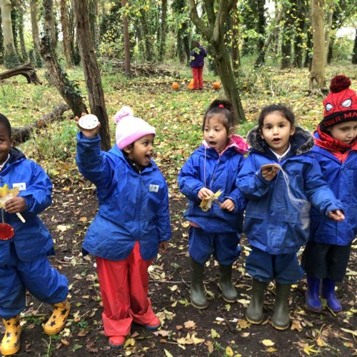 Week 1 - 03.11.25 - Elm Woods