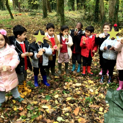 Week 1 - 06.11.25 - Elm Woods