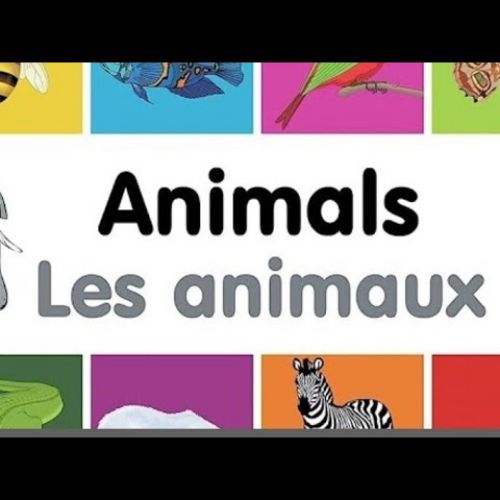 Week 4 - 25.11.25 - French