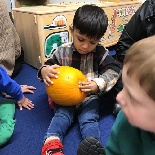 Week 1 - 04.11.25 - Exploring Pumpkins