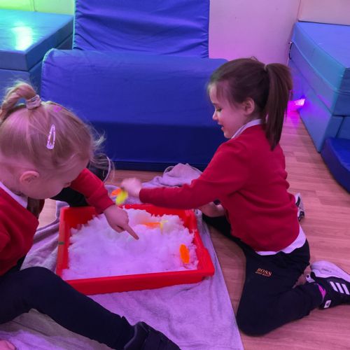 Week 2 - 12.01.26 - Snow