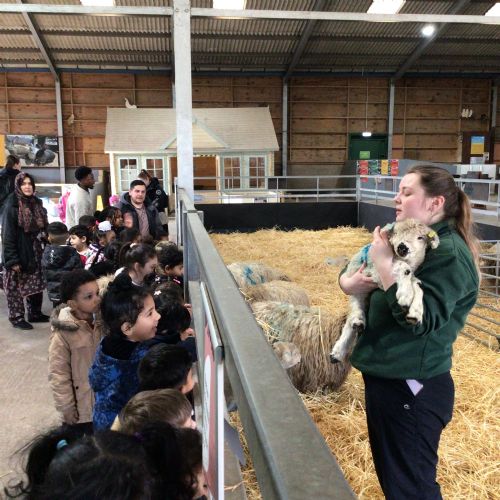 Week 1 - 25.02.26 - White Post Farm