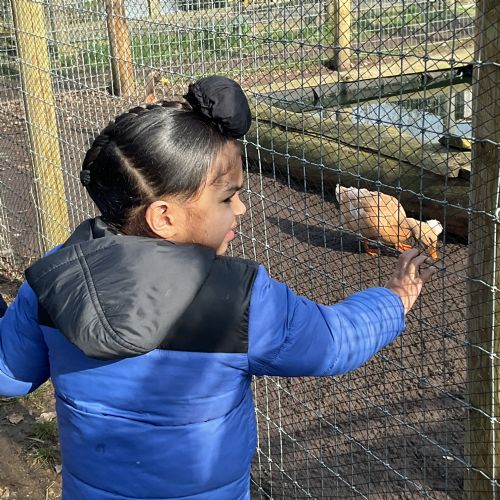 Week 1 - 23.02.26 - White Post Farm