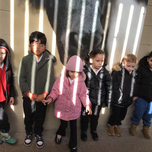 Week 1 - 25.02.26 - White Post Farm