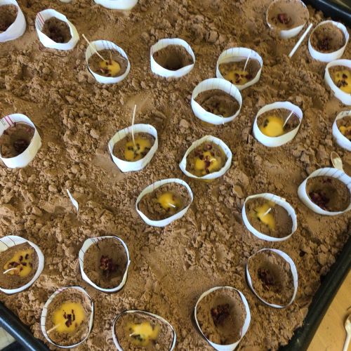 Week 2 - 06.03.26 - DT