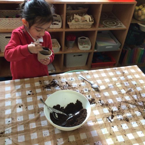 Week 4 - 16.03.26 - DT