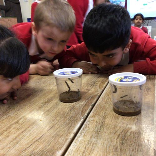 Week 5 - 24.03.26 - Topic