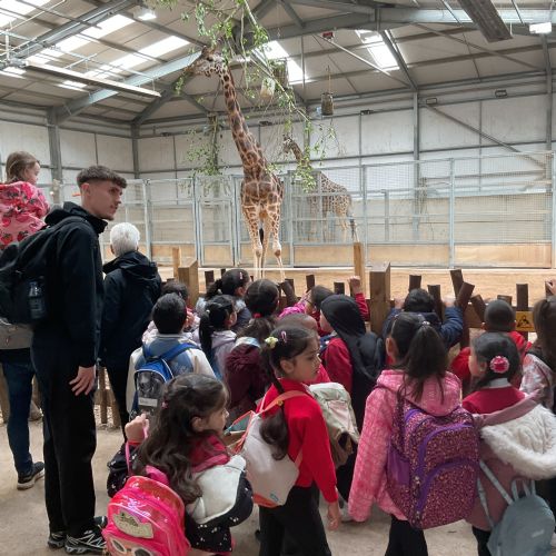 Twycross Zoo