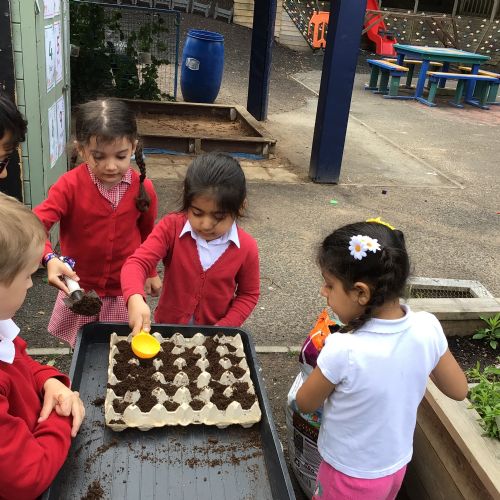 Planting Seeds