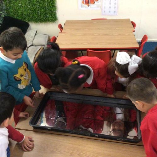 Palm Tree Class