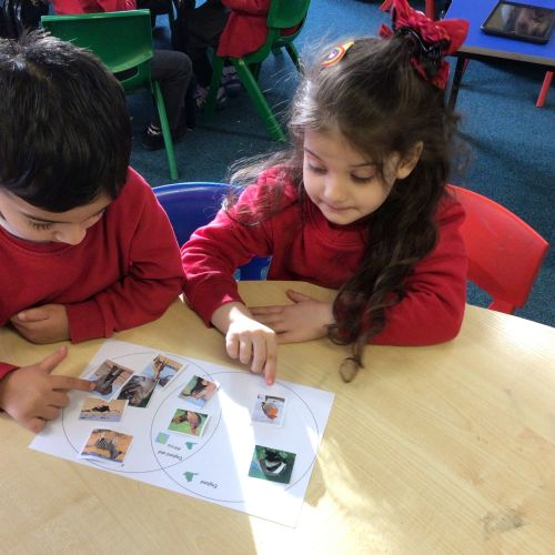 Week 4 - 29.01.25 - Animals in England or Africa?