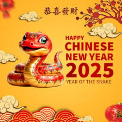 Week 4 - 29.01.25 - Chinese New Year