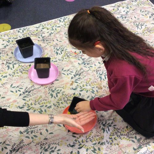 Week 3 - 10.03.25 - Science