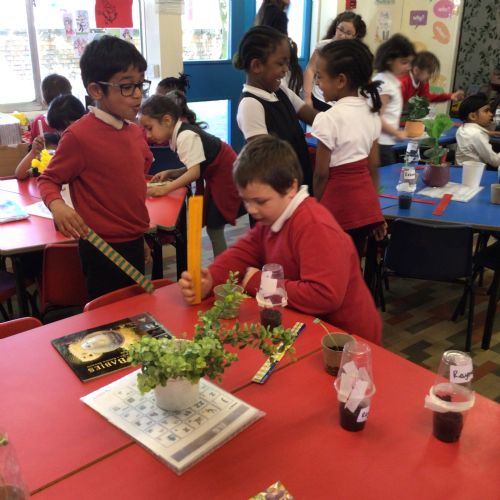 Week 5 - 27.03.25 - Homework Celebration