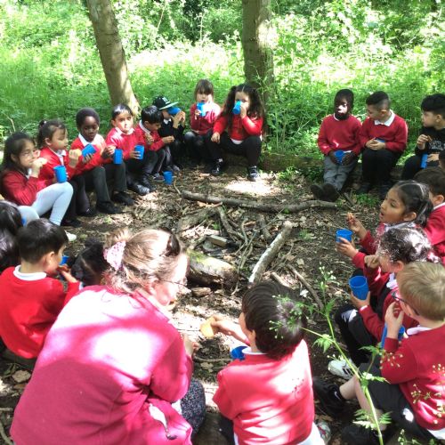 Week 2 - 28.04.25 - Forest School