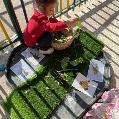 Week 2 - 29.04.25 - Exploring mini beasts