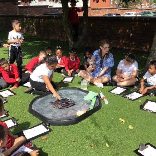 Week 4 - 14.05.25 - Science