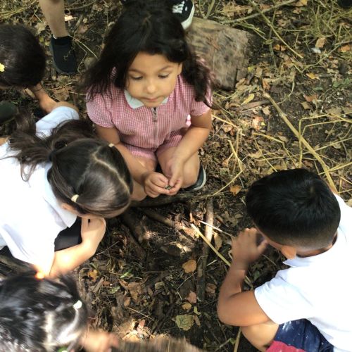 Week 7 - 14.07.25 - Forest School